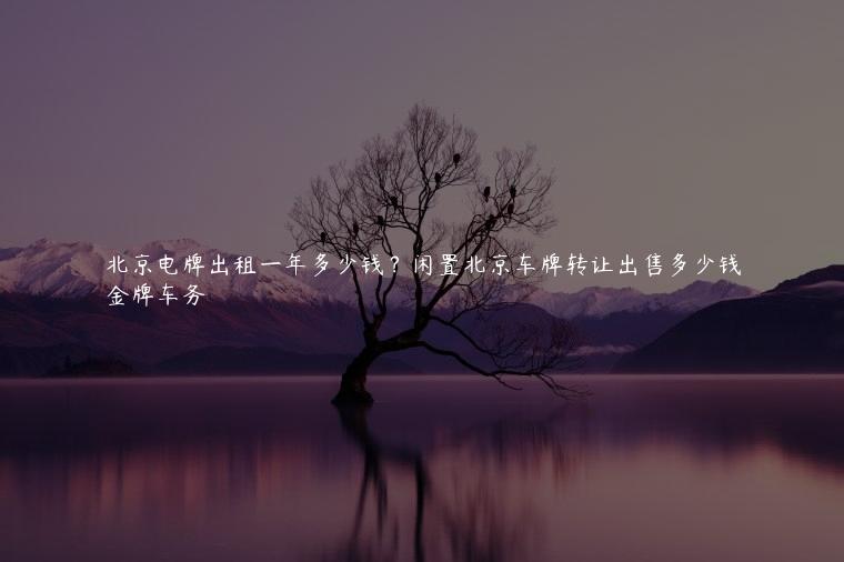 北京电牌出租一年多少钱？闲置北京车牌转让出售多少钱