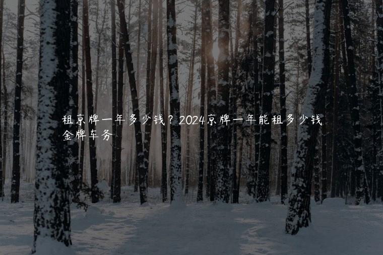 租京牌一年多少钱？2024京牌一年能租多少钱