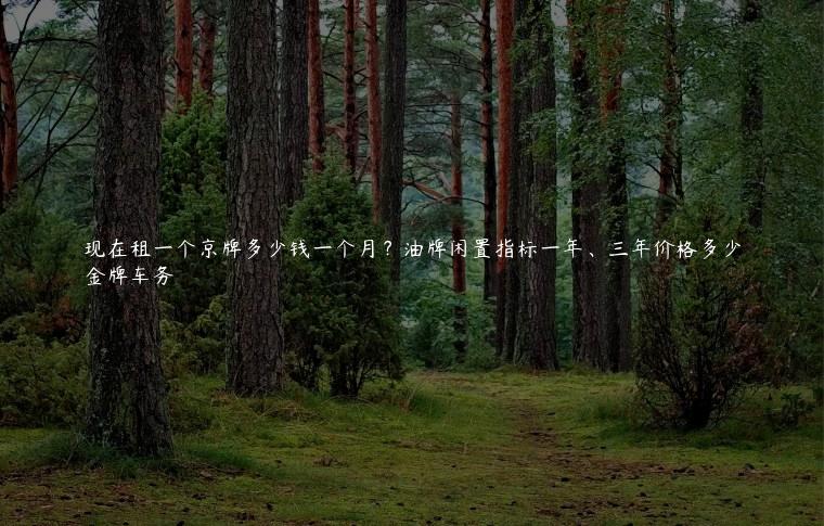 现在租一个京牌多少钱一个月？油牌闲置指标一年、三年价格多少