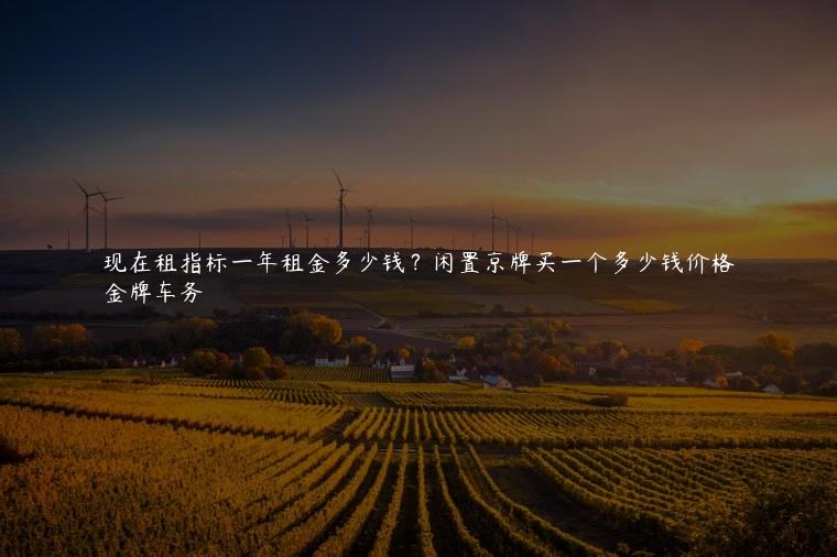 现在租指标一年租金多少钱？闲置京牌买一个多少钱价格