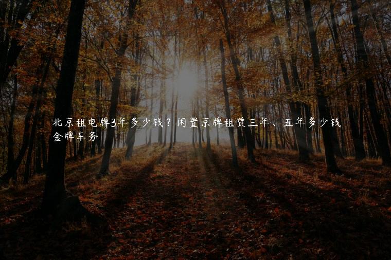 北京租电牌3年多少钱？闲置京牌租赁三年、五年多少钱