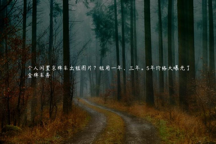 个人闲置京牌车出租图片？租用一年、三年。5年价格大曝光了