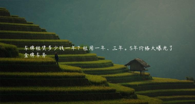 车牌租赁多少钱一年？租用一年、三年。5年价格大曝光了