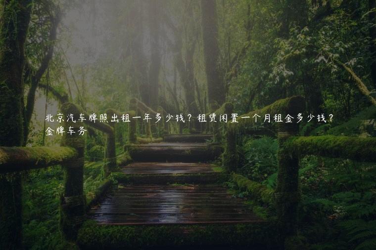 北京汽车牌照出租一年多少钱？租赁闲置一个月租金多少钱？