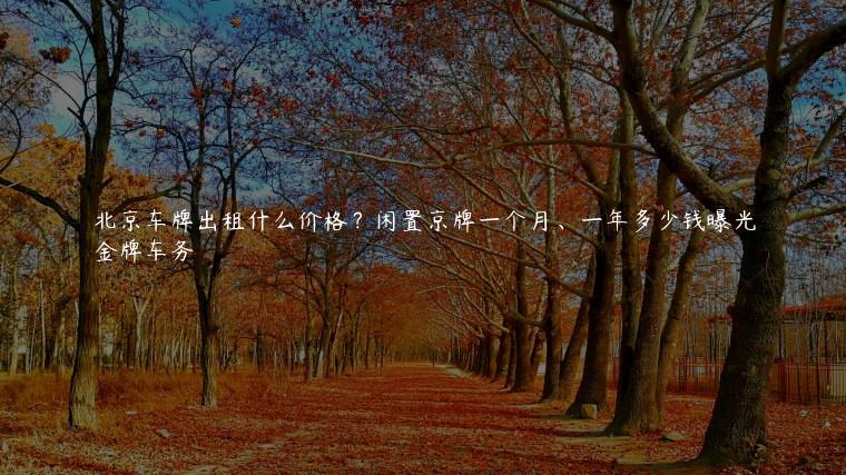 北京车牌出租什么价格？闲置京牌一个月、一年多少钱曝光