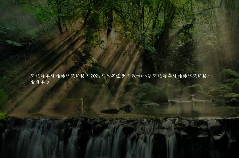 新能源车牌指标租赁价格？2024年京牌值多少钱呀(北京新能源车牌指标租赁价格)