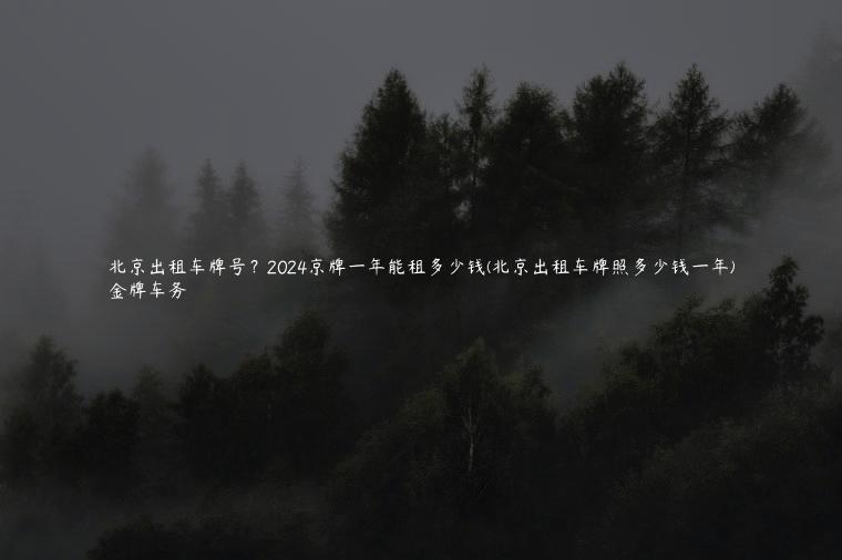 北京出租车牌号？2024京牌一年能租多少钱(北京出租车牌照多少钱一年)