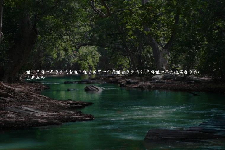 租个京牌一年多少钱合适？租赁闲置一个月租金多少钱？(京牌租一年大概需要多钱)