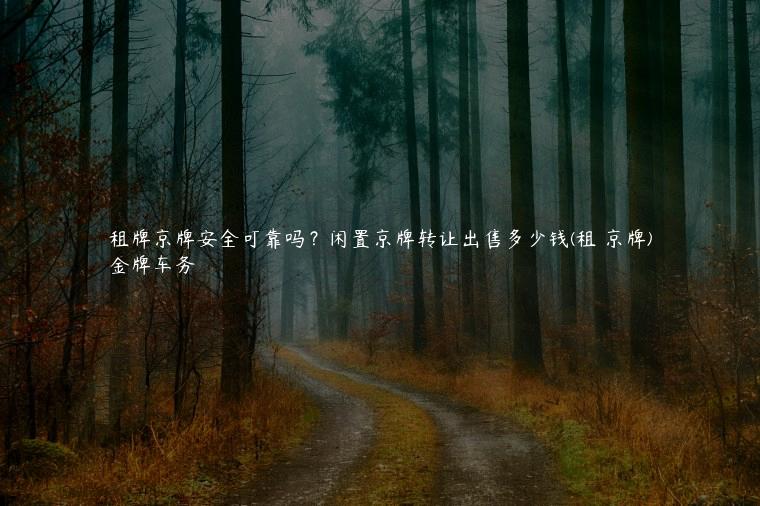 租牌京牌安全可靠吗？闲置京牌转让出售多少钱(租 京牌)