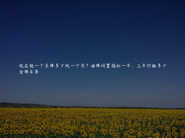 现在租一个京牌多少钱一个月？油牌闲置指标一年、三年价格多少