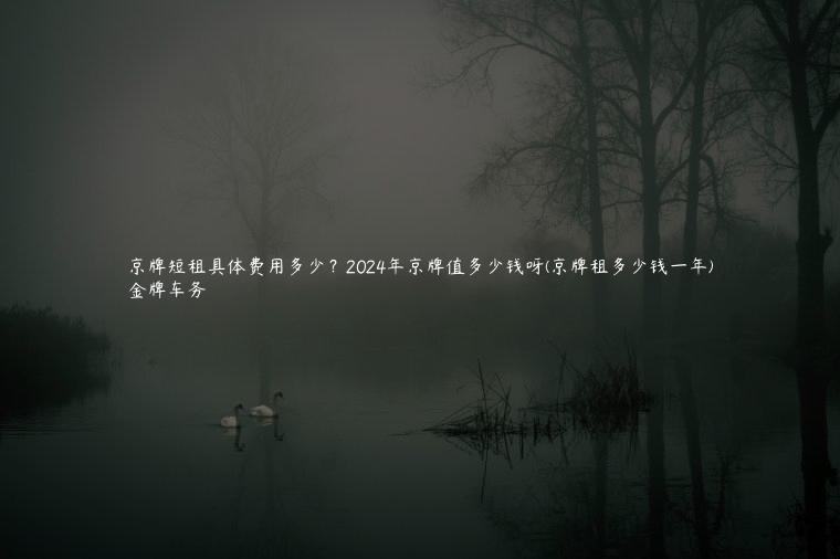 京牌短租具体费用多少？2024年京牌值多少钱呀(京牌租多少钱一年)