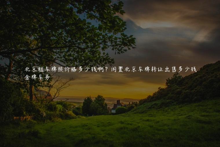 北京租车牌照价格多少钱啊？闲置北京车牌转让出售多少钱