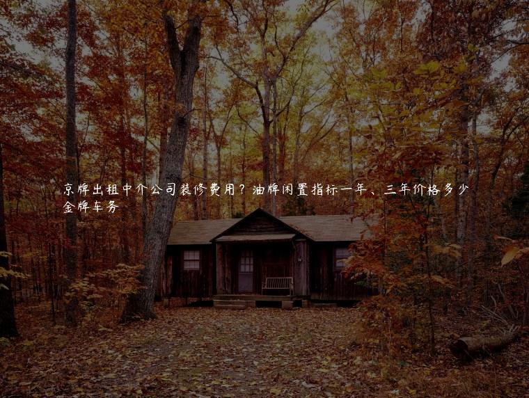 京牌出租中介公司装修费用？油牌闲置指标一年、三年价格多少