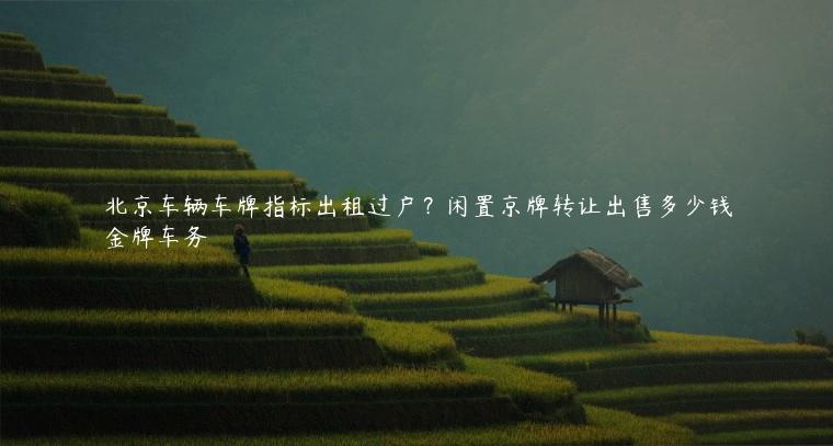 北京车辆车牌指标出租过户？闲置京牌转让出售多少钱