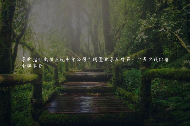 京牌指标出租正规中介公司？闲置北京车牌买一个多少钱价格