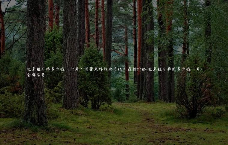 北京租车牌多少钱一个月？闲置京牌能卖多钱？最新价格(北京租车牌照多少钱一月)