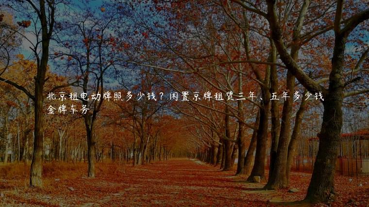 北京租电动牌照多少钱？闲置京牌租赁三年、五年多少钱