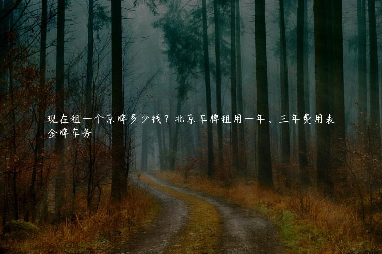 现在租一个京牌多少钱？北京车牌租用一年、三年费用表