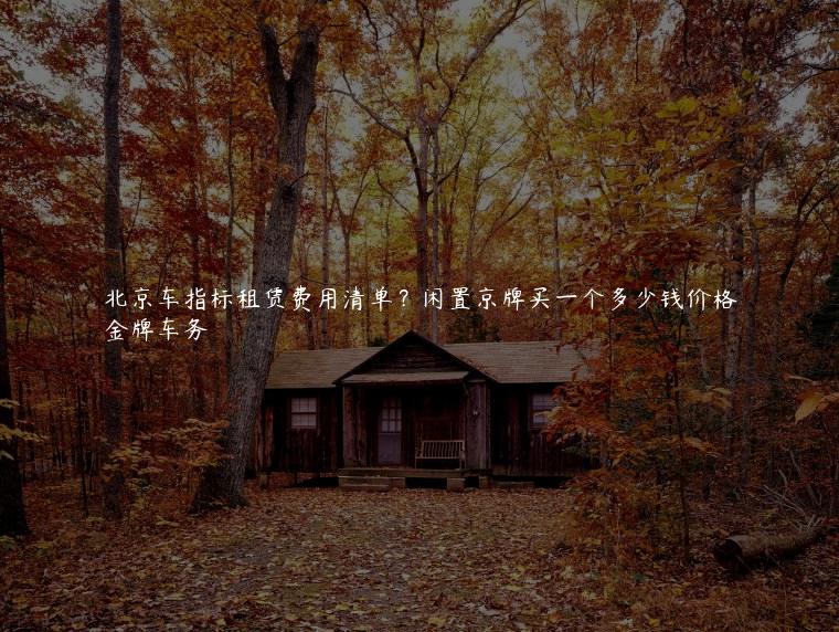 北京车指标租赁费用清单？闲置京牌买一个多少钱价格