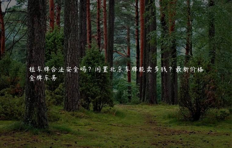 租车牌合法安全吗？闲置北京车牌能卖多钱？最新价格
