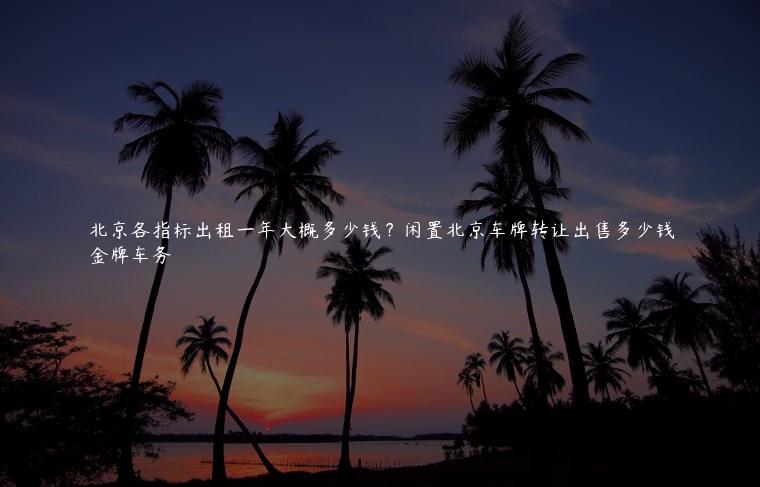 北京各指标出租一年大概多少钱？闲置北京车牌转让出售多少钱