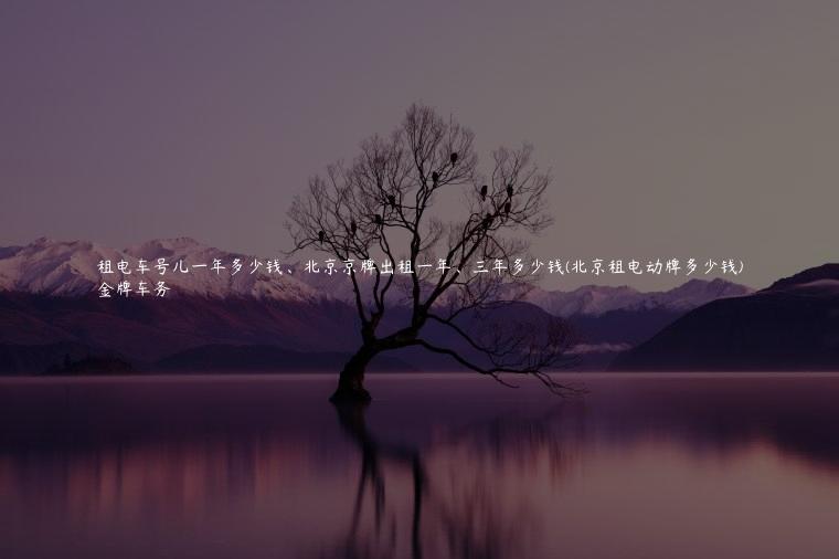 租电车号儿一年多少钱、北京京牌出租一年、三年多少钱(北京租电动牌多少钱)