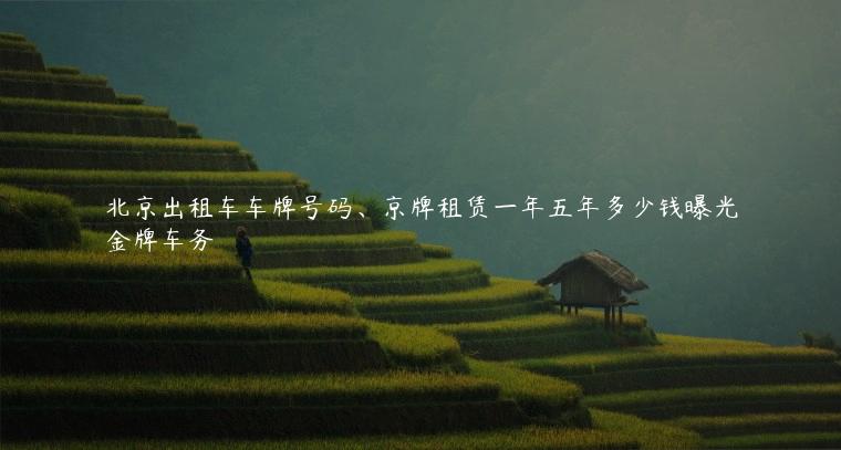 北京出租车车牌号码、京牌租赁一年五年多少钱曝光