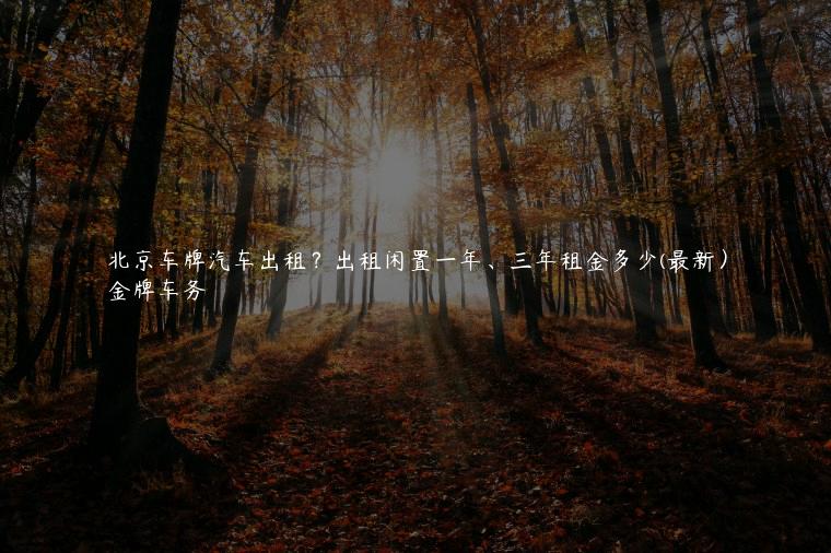 北京车牌汽车出租？出租闲置一年、三年租金多少(最新）