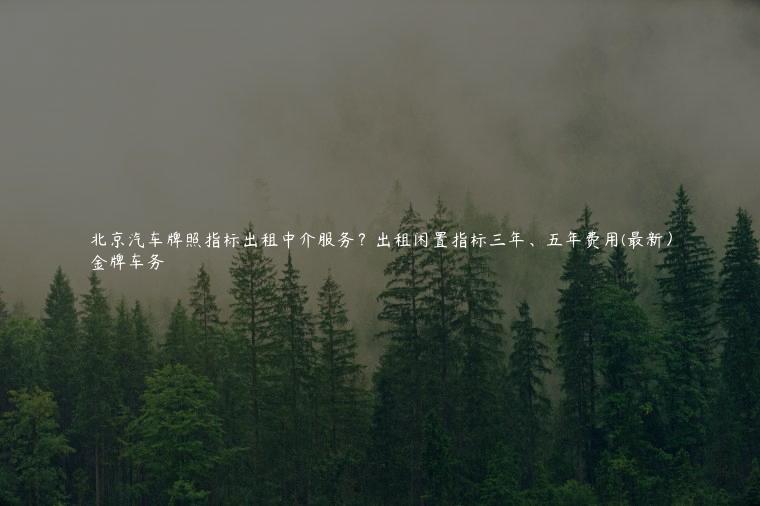 北京汽车牌照指标出租中介服务？出租闲置指标三年、五年费用(最新）