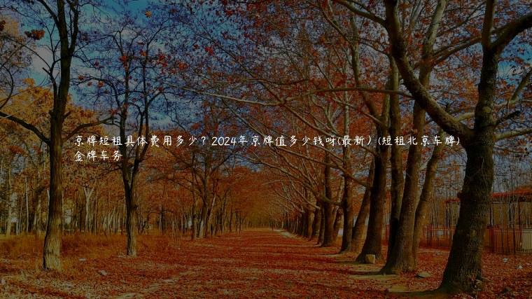 京牌短租具体费用多少？2024年京牌值多少钱呀(最新）(短租北京车牌)