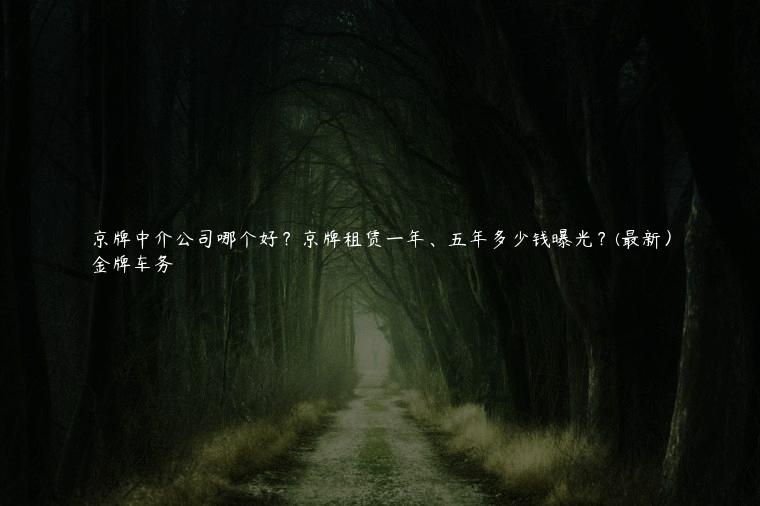 京牌中介公司哪个好？京牌租赁一年、五年多少钱曝光？(最新）