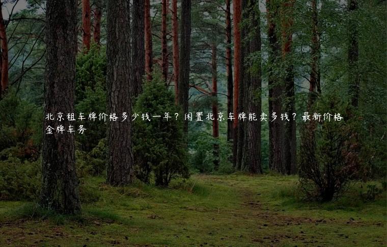 北京租车牌价格多少钱一年？闲置北京车牌能卖多钱？最新价格