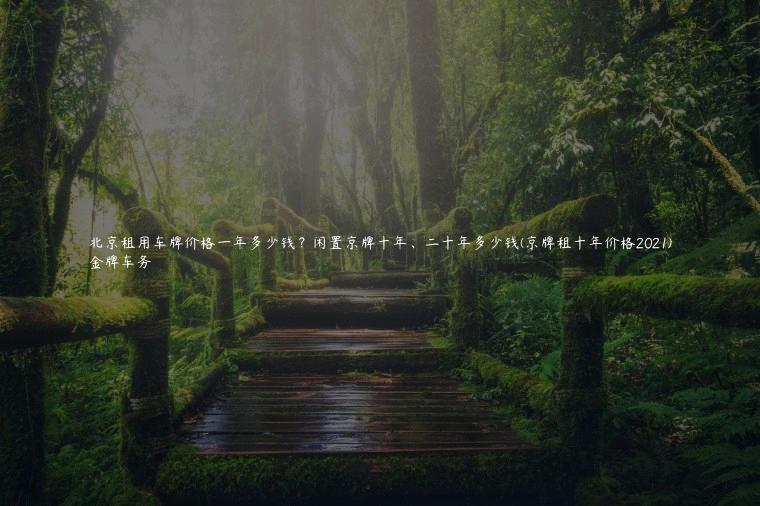 北京租用车牌价格一年多少钱？闲置京牌十年、二十年多少钱(京牌租十年价格2021)