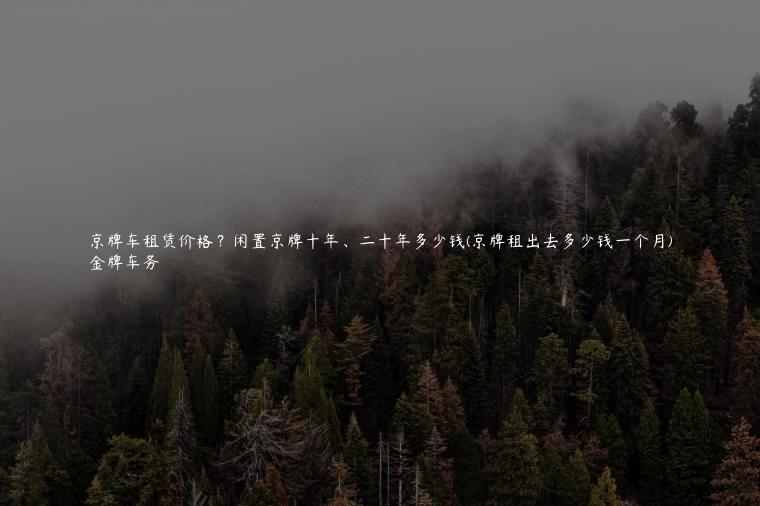 京牌车租赁价格？闲置京牌十年、二十年多少钱(京牌租出去多少钱一个月)