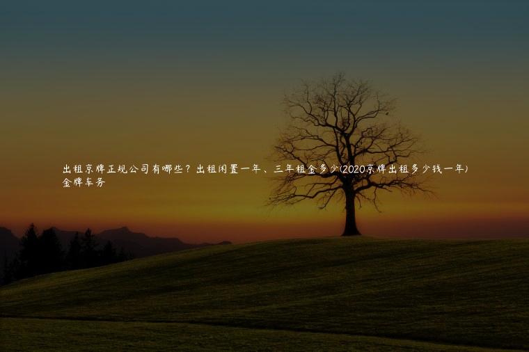 出租京牌正规公司有哪些？出租闲置一年、三年租金多少(2020京牌出租多少钱一年)