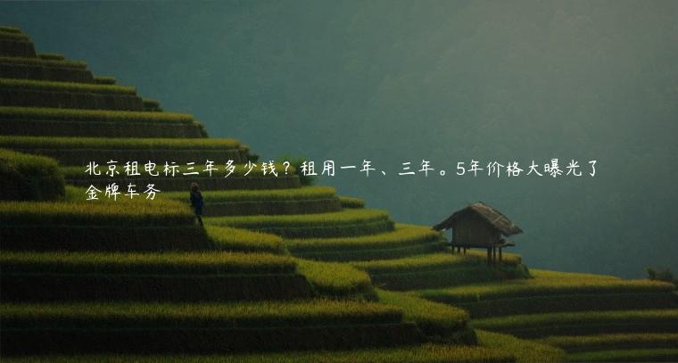 北京租电标三年多少钱？租用一年、三年。5年价格大曝光了