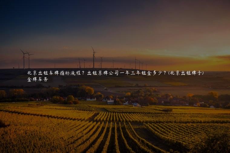 北京出租车牌指标流程？出租京牌公司一年三年租金多少？(北京出租牌子)