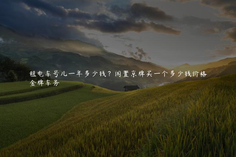租电车号儿一年多少钱？闲置京牌买一个多少钱价格