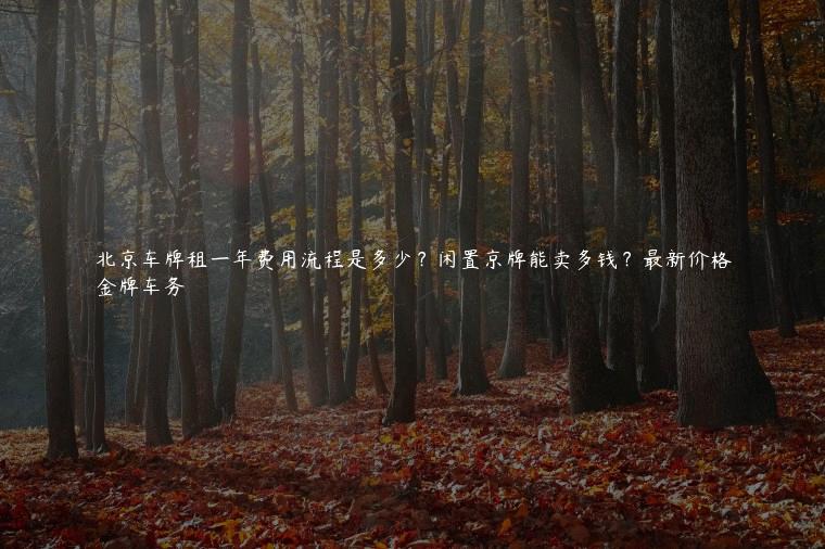 北京车牌租一年费用流程是多少？闲置京牌能卖多钱？最新价格