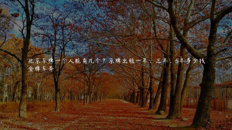 北京车牌一个人能有几个？京牌出租一年、三年、5年多少钱