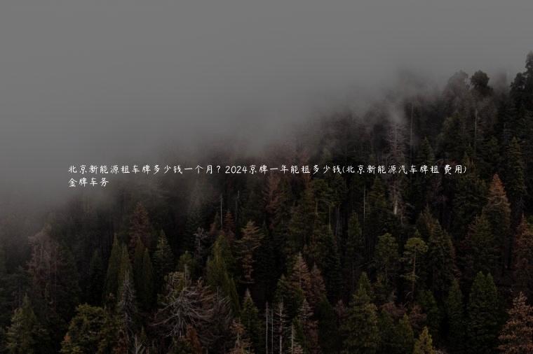 北京新能源租车牌多少钱一个月？2024京牌一年能租多少钱(北京新能源汽车牌租 费用)