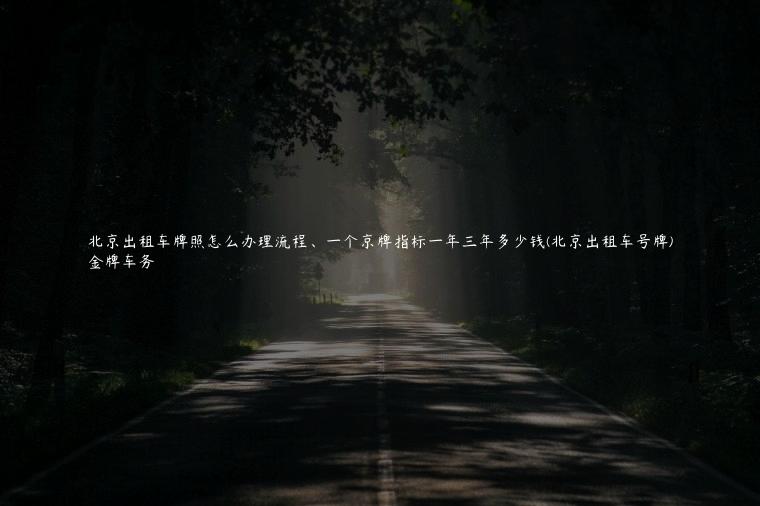 北京出租车牌照怎么办理流程、一个京牌指标一年三年多少钱(北京出租车号牌)