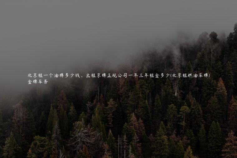 北京租一个油牌多少钱、出租京牌正规公司一年三年租金多少(北京租燃油车牌)