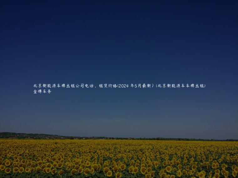 北京新能源车牌出租公司电话，租赁价格(2024 年5月最新）(北京新能源车车牌出租)