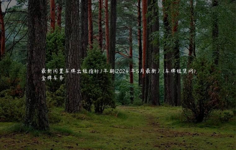最新闲置车牌出租指标1年期(2024 年5月最新）(车牌租赁网)