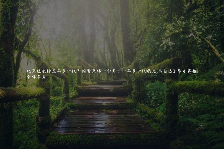 北京租电标五年多少钱？闲置京牌一个月、一年多少钱曝光(马自达3 昂克赛拉)