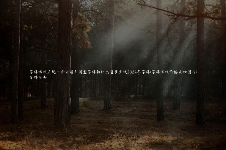 京牌回收正规中介公司？闲置京牌转让出售多少钱2024年京牌(京牌回收价格表和图片)