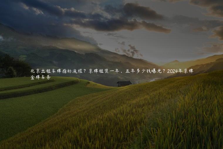 北京出租车牌指标流程？京牌租赁一年、五年多少钱曝光？2024年京牌