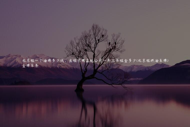 北京租一个油牌多少钱、出租京牌正规公司一年三年租金多少(北京租燃油车牌)