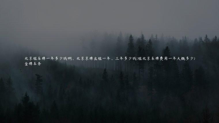 北京租车牌一年多少钱啊、北京京牌出租一年、三年多少钱(租北京车牌费用一年大概多少)